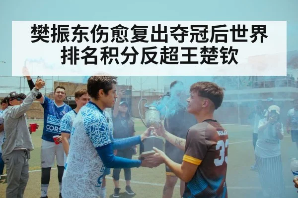 樊振东伤愈复出夺冠后世界排名积分反超王楚钦