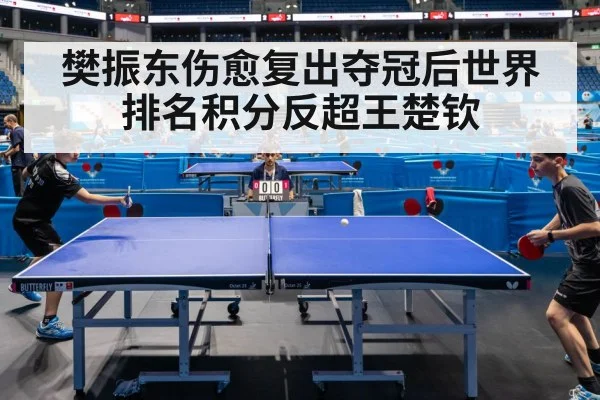 table tennis match action